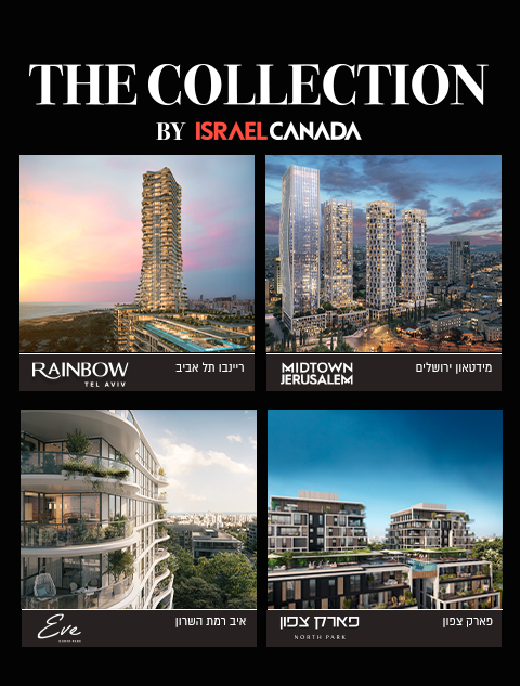 The_Collection