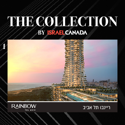 The_Collection_1