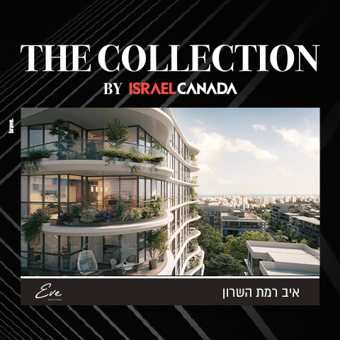 The_Collection_2