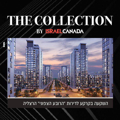 The_Collection_3